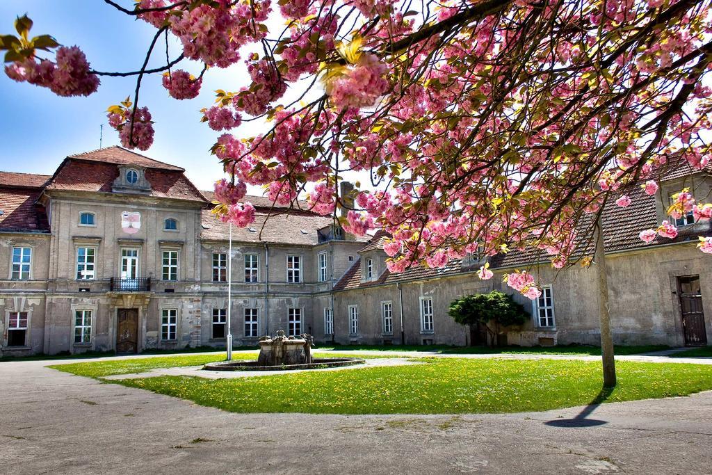 Gaestehaus Schloss Plaue Brandenburg  Exterior photo